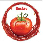 Томатная паста ведро 3кг Gustav 1/1шт